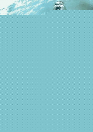 l_1633356_b186e2ad