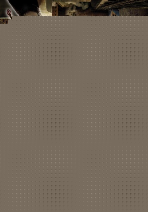 l_1374992_f4f26482